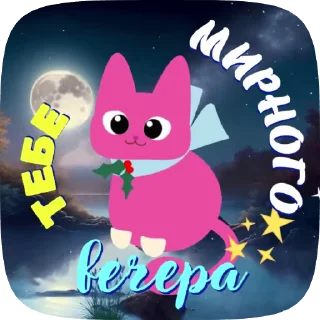 🌛