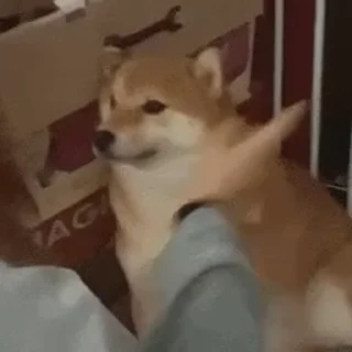 🖐