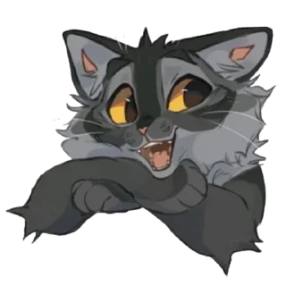🐱
