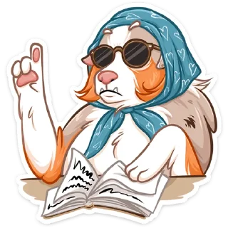 😎