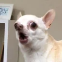 😂
