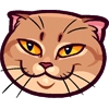 Meme Cats