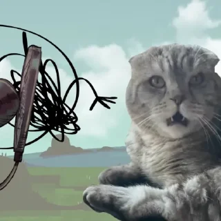 🐱