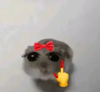 🐭