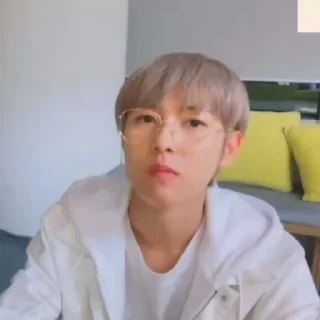 🦊