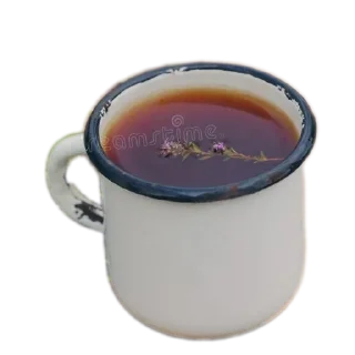 🍽