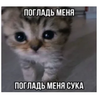 🥺