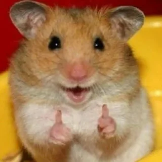 👍