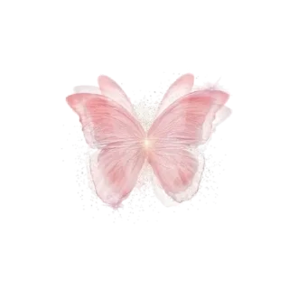 🦋
