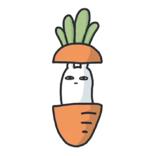 🥕