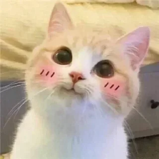 😊