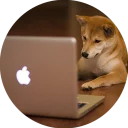 💻