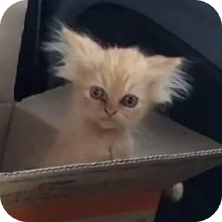 🫥