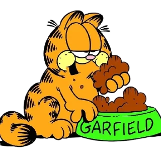 🐶