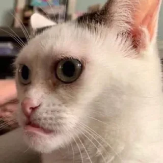 ☹️