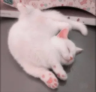 😴