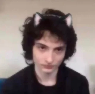 😸