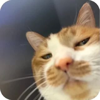 👀