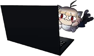 🖥