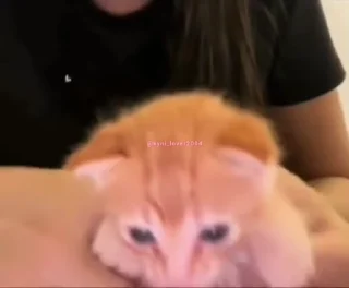 🍺