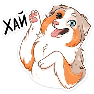 👋