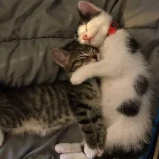 👩‍❤️‍👩