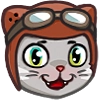 Kamikaze Cat