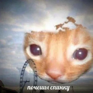 ☺️