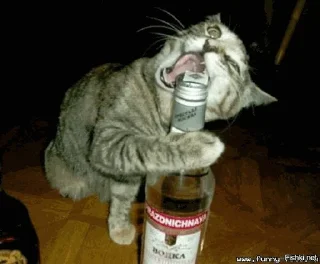 🥃