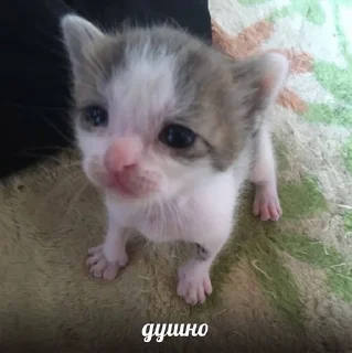 👎