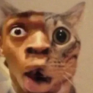 😧