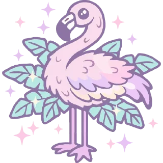 🦩