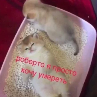 😫
