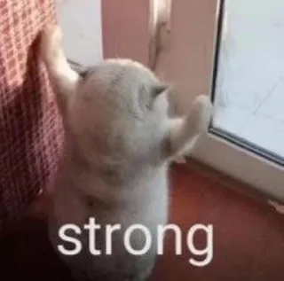🥺