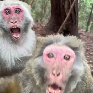 😱