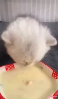 😖