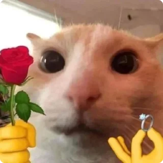 💍
