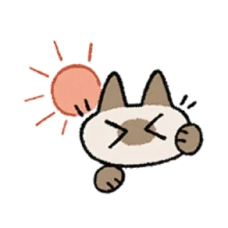 😺