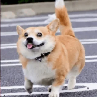 ☺️
