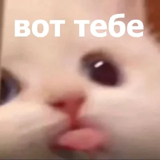 😛