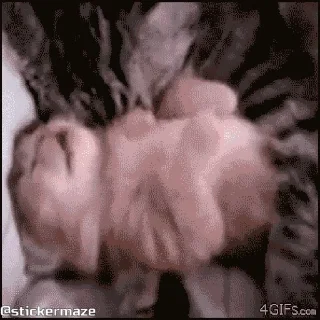 😴