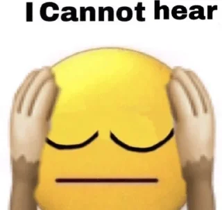 🙉