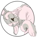 😴