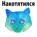 🐱