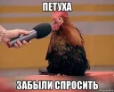 🐔