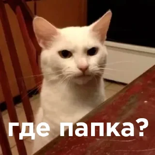 🤨