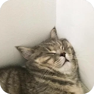 🫥