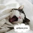 😴