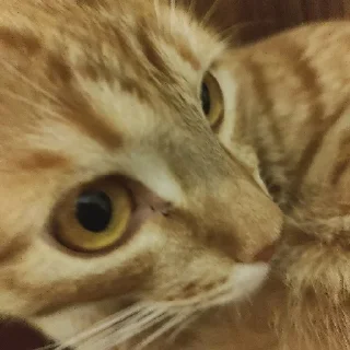 😏