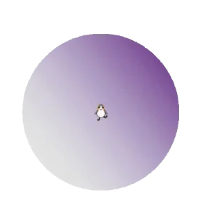 🐥